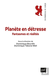 Planète En Détresse : Angoisse De Castration, Crainte De L'Effondrement, Mélanolie, Organisations Dépressives