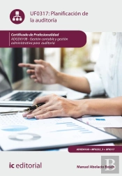 Planificacion De La Auditoria Adgd0108 Gestion Contable Y