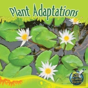 Plant Adaptations
