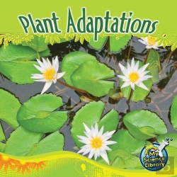 Bertrand.pt - Plant Adaptations