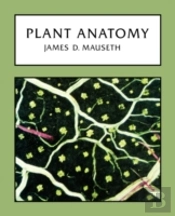 Plant Anatomy