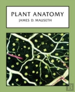 Bertrand.pt - Plant Anatomy