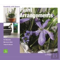 Plant Arrangements: Creativity With Flowers