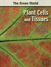 Plant Cells And Tissues