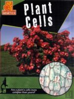 Bertrand.pt - Plant Cells