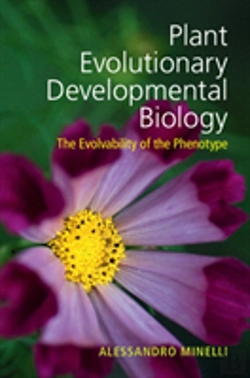 Bertrand.pt - Plant Evolutionary Developmental Biology