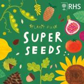 Plant Fun: Super Seeds