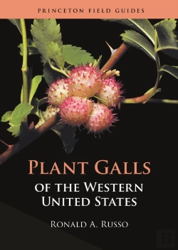 Bertrand.pt - Plant Galls Of The Western United States