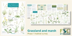 Bertrand.pt - Plant Identification For Phase 1 Habitat Survey: Grassland And Marsh