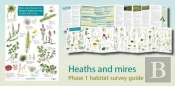 Plant Identification For Phase 1 Habitat Survey: Heaths And Meres