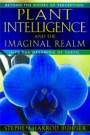 Plant Intelligence And The Imaginal Realm