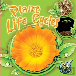 Bertrand.pt - Plant Life Cycles