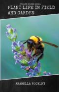 Plant Life In Field And Garden
