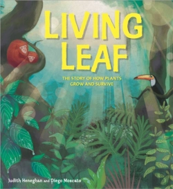 Bertrand.pt - Plant Life: Living Leaf