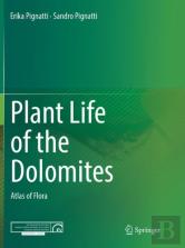 Plant Life Of The Dolomites