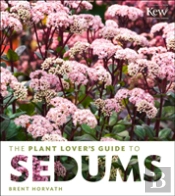 Plant Lover'S Guide To Sedums