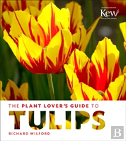Bertrand.pt - Plant Lover'S Guide To Tulips