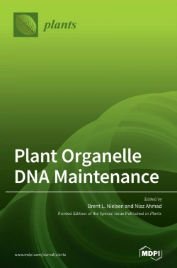 Bertrand.pt - Plant Organelle Dna Maintenance