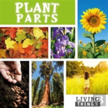 Plant Parts