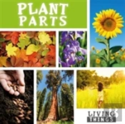 Plant Parts