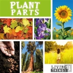 Bertrand.pt - Plant Parts