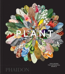 Bertrand.pt - Plant