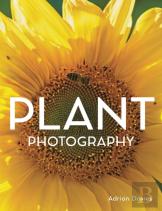 Plant Photography