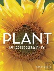 Plant Photography