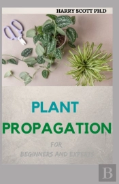 Plant Propagation For Beginners And Experts