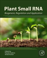 Plant Small Rna
