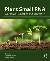 Plant Small Rna