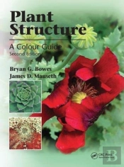Plant Structure