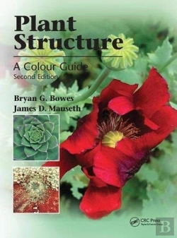 Bertrand.pt - Plant Structure