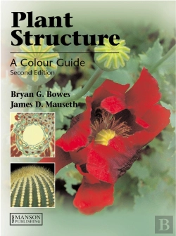 Bertrand.pt - Plant Structure
