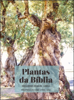 Bertrand.pt - Plantas da Bíblia nos Jardins de Belém - Lisboa | Biblical Plants in the Garden of Belem - Lisbon