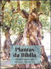 Plantas da Bíblia nos Jardins de Belém - Lisboa | Biblical Plants in the Garden of Belem - Lisbon