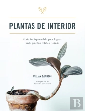 Plantas De Interior