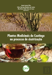 Plantas Medicinais Da Caatinga No Processo De Cicatrização
