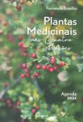 Plantas Medicinais nas Quatro Estações