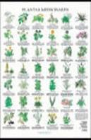 Plantas Medicinales Poster