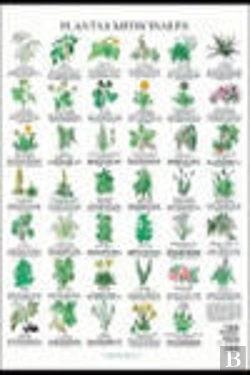 Bertrand.pt - Plantas Medicinales Poster