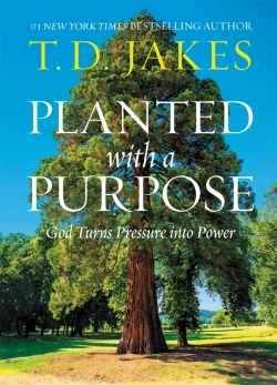 Bertrand.pt - Planted With A Purpose