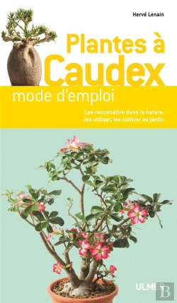Bertrand.pt - Plantes A Caudex
