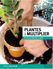 Plantes A Multiplier
