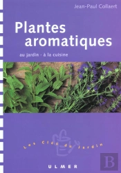 Plantes Aromatiques Au Jardin A La Cuisine