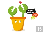Plantes Carnívores (Infantil 2º Ciclo)