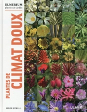 Plantes De Climat Doux