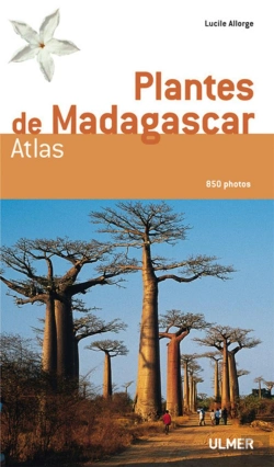 Bertrand.pt - Plantes De Madagascar