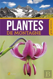 Plantes De Montagne