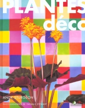 Plantes Deco